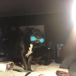 Meet your Posher, Gary